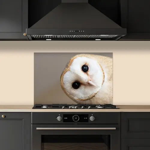 Uil - Bruin - Wit keuken achterwand spatscherm klein -sfeer1