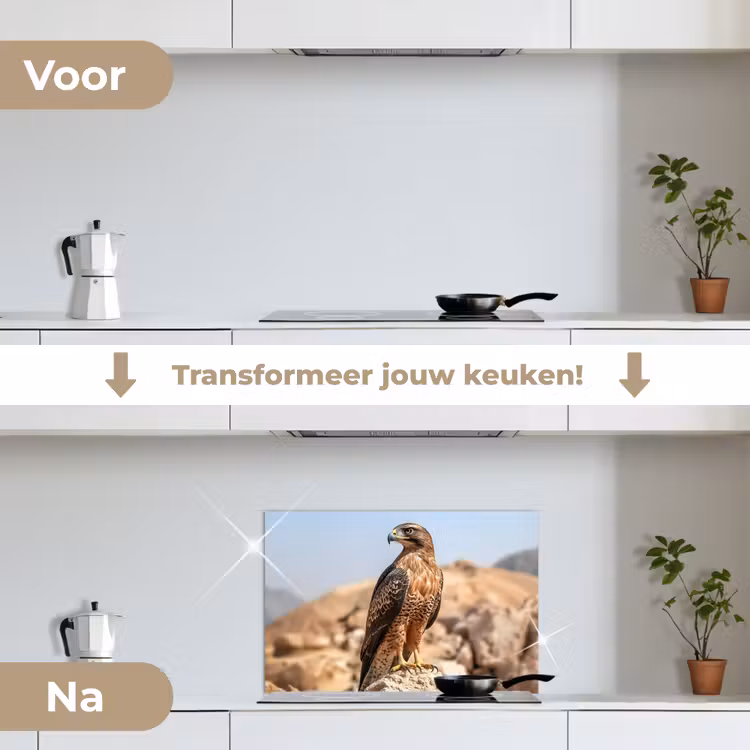 Valk - Vogel - Rots - Macht keuken achterwand spatscherm klein -voor_na_NL