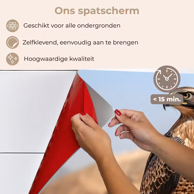 Valk - Vogel - Rots - Macht keuken achterwand spatscherm klein -spatscherm_NL