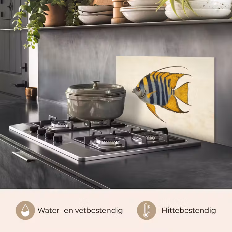 Vis - Sierlijk - Vinnen - Illustratie keuken achterwand spatscherm klein -usp_NL