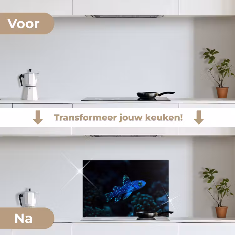Vis - Stippen - Koraal - Blauw keuken achterwand spatscherm klein -voor_na_NL