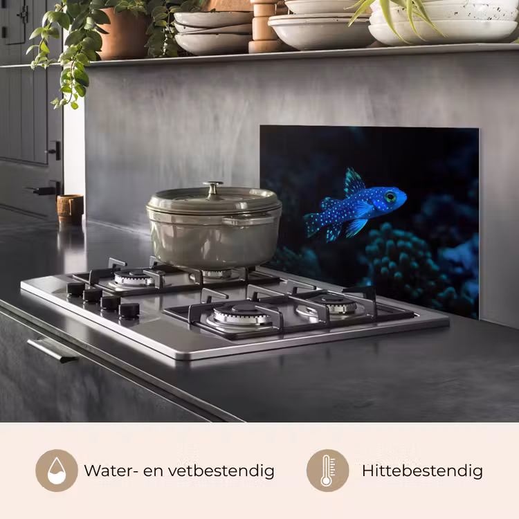 Vis - Stippen - Koraal - Blauw keuken achterwand spatscherm klein -usp_NL