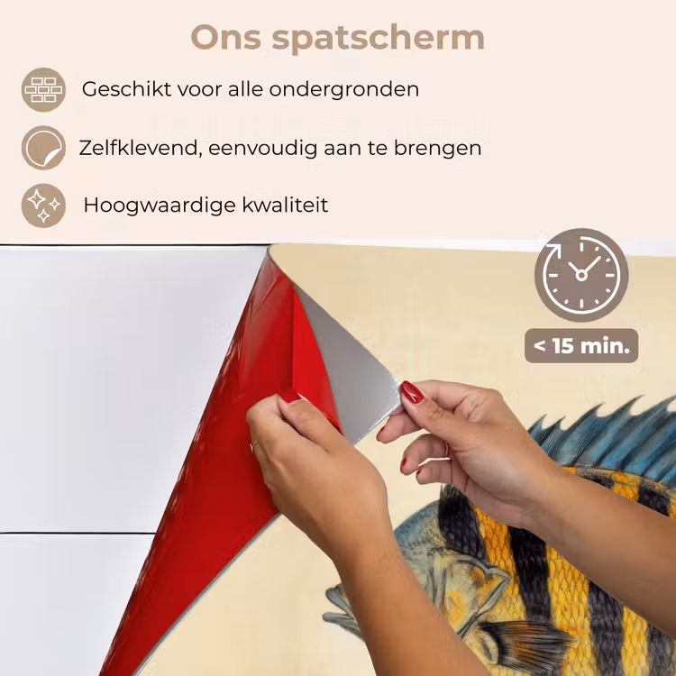 Vis - Tropisch - Strepen - Vinnen keuken achterwand spatscherm klein -spatscherm_NL
