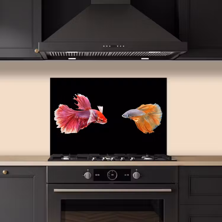 Vissen - Kleurrijk - Dieren keuken achterwand spatscherm klein -sfeer1