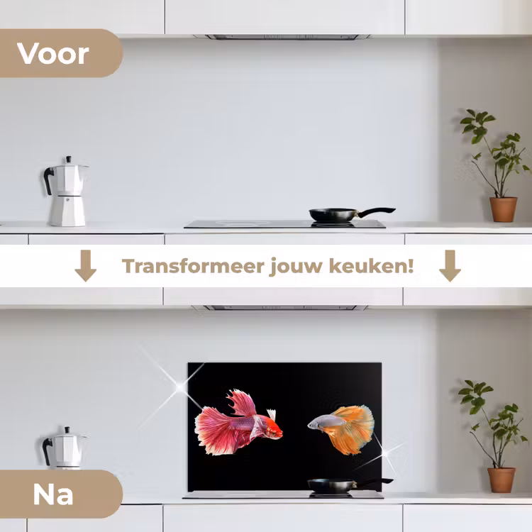 Vissen - Kleurrijk - Dieren keuken achterwand spatscherm klein -voor_na_NL