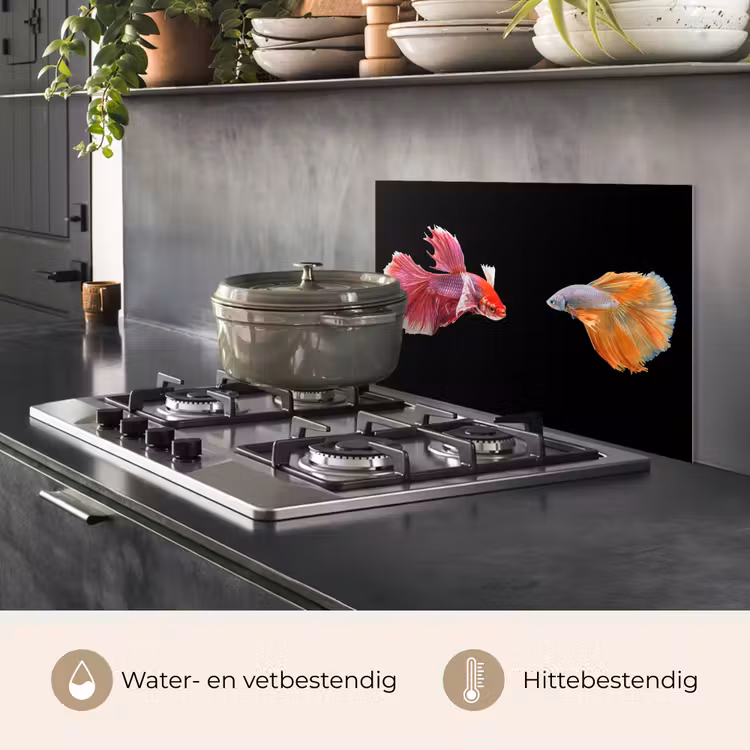 Vissen - Kleurrijk - Dieren keuken achterwand spatscherm klein -usp_NL