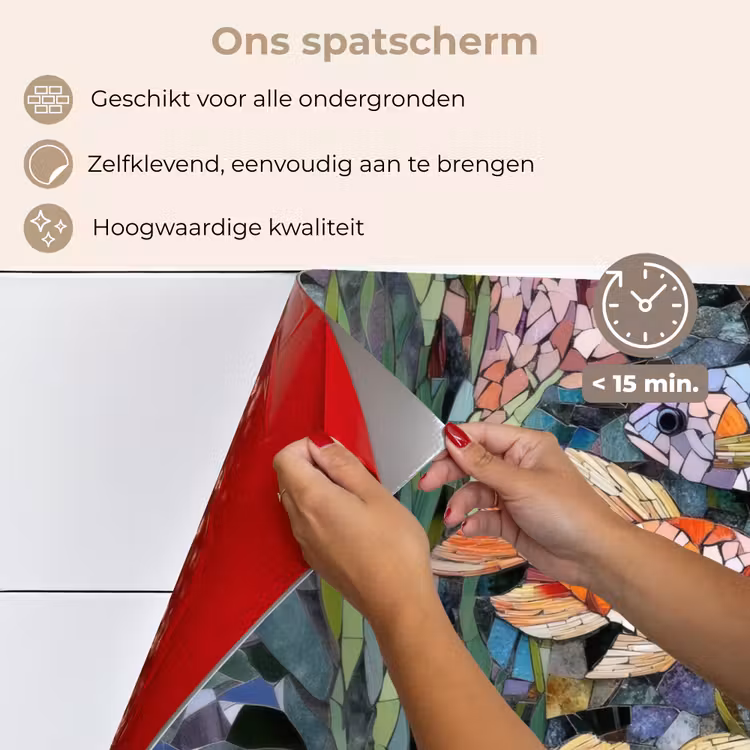Vissen - Koraal - Zee - Mozaïek keuken achterwand spatscherm klein -spatscherm_NL