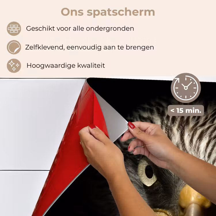 Vogel - Adelaar - Roofvogels - Oog - Snavel - Licht keuken achterwand spatscherm klein -spatscherm_NL