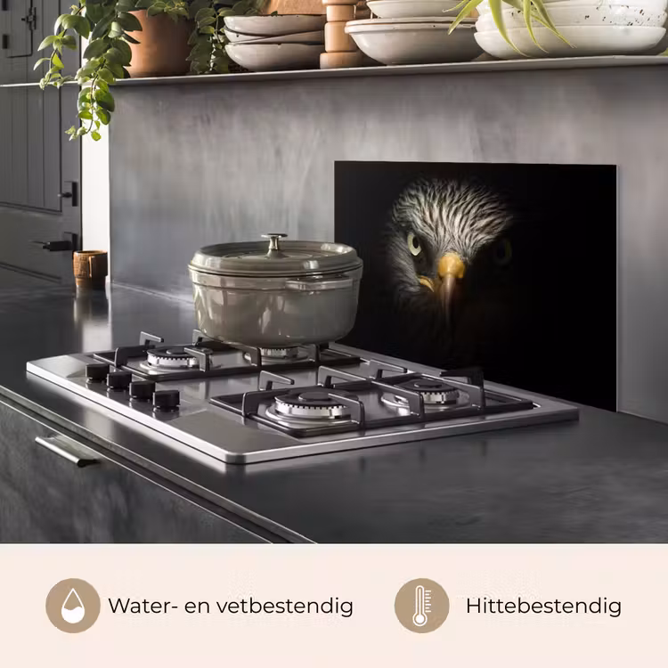 Vogel - Adelaar - Roofvogels - Oog - Snavel - Licht keuken achterwand spatscherm klein -usp_NL