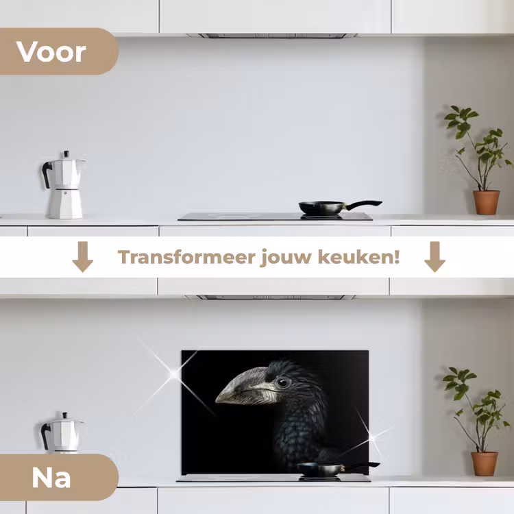 Vogel - Portret - Neushoornvogel - Zwart - Dieren keuken achterwand spatscherm klein -voor_na_NL