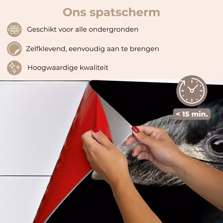 Vogel - Portret - Neushoornvogel - Zwart - Dieren keuken achterwand spatscherm klein -spatscherm_NL