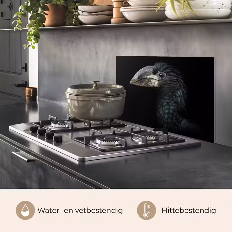 Vogel - Portret - Neushoornvogel - Zwart - Dieren keuken achterwand spatscherm klein -usp_NL