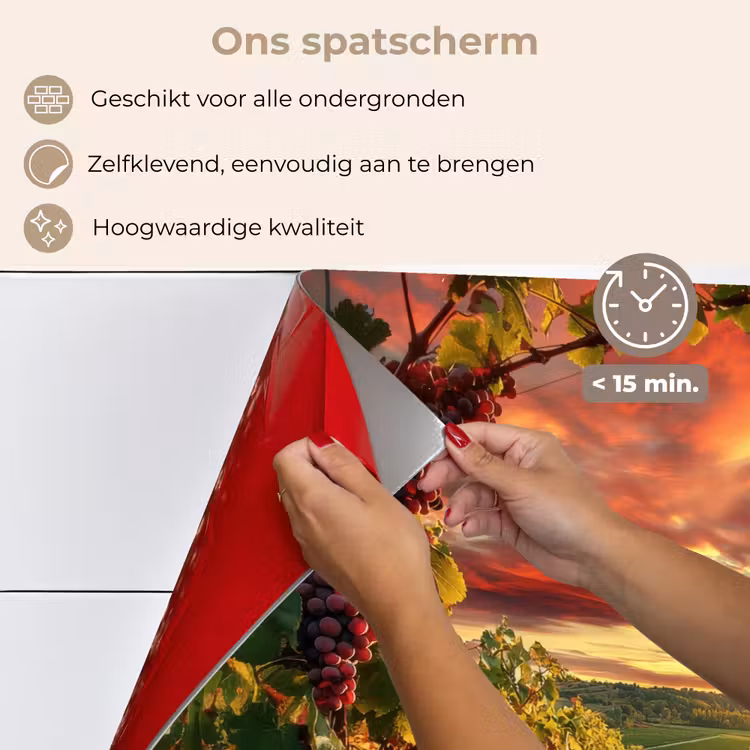 Wijngaard - Druiven - Zonsondergang keuken achterwand spatscherm klein -spatscherm_NL