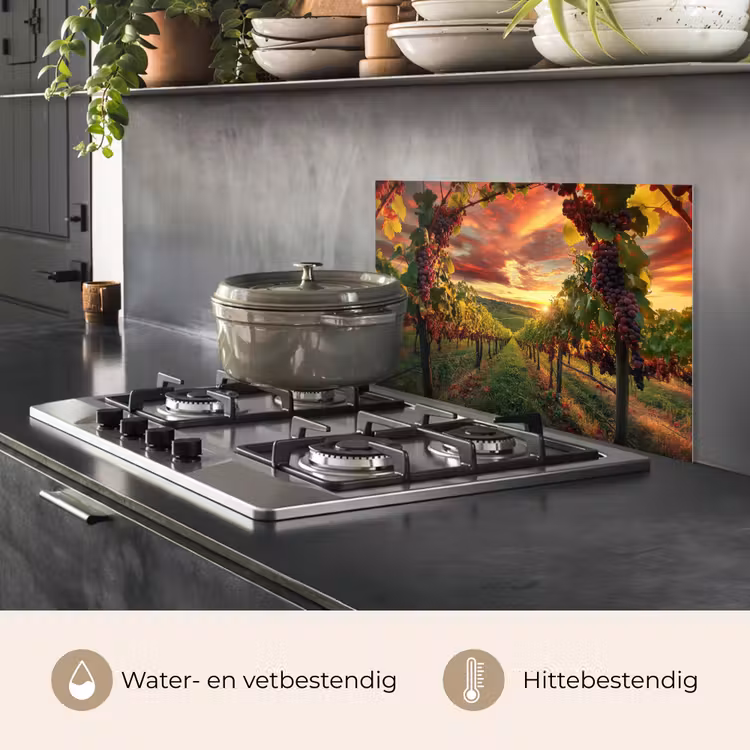 Wijngaard - Druiven - Zonsondergang keuken achterwand spatscherm klein -usp_NL