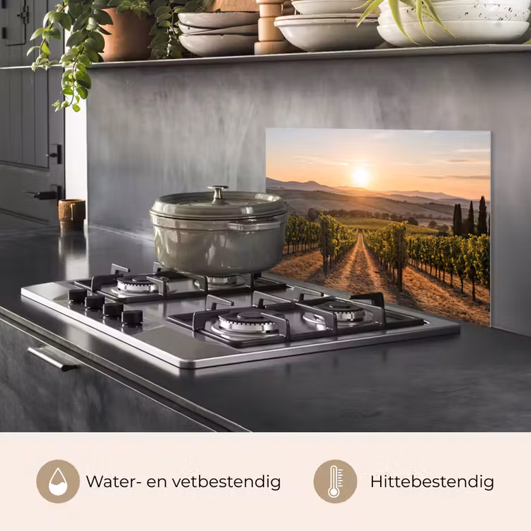 Wijngaard - Zonsondergang - Landschap keuken achterwand spatscherm klein -usp_NL