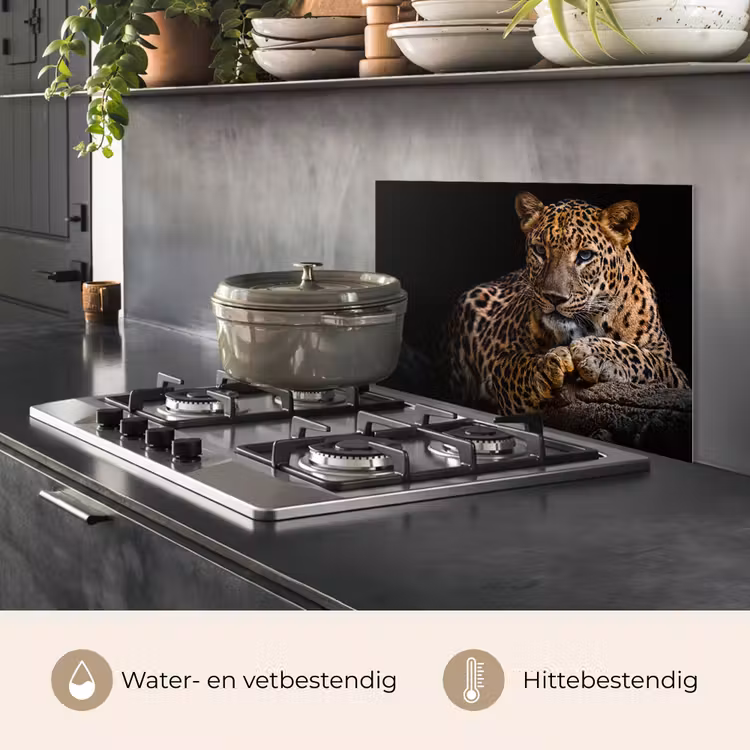 Wilde dieren - Panter - Portret - Zwart - Dieren keuken achterwand spatscherm klein -usp_NL