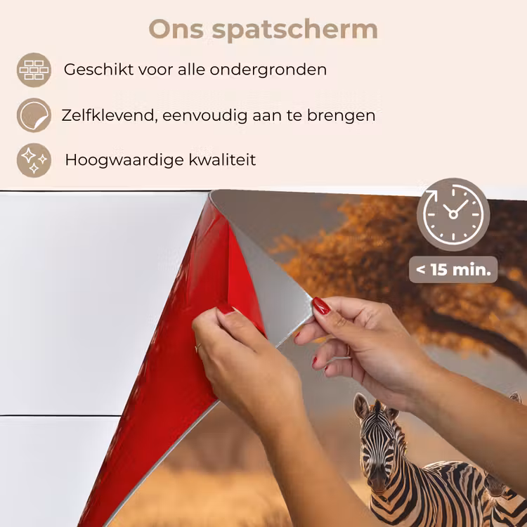 Zebra's - Savannelandschap - Gras keuken achterwand spatscherm klein -spatscherm_NL