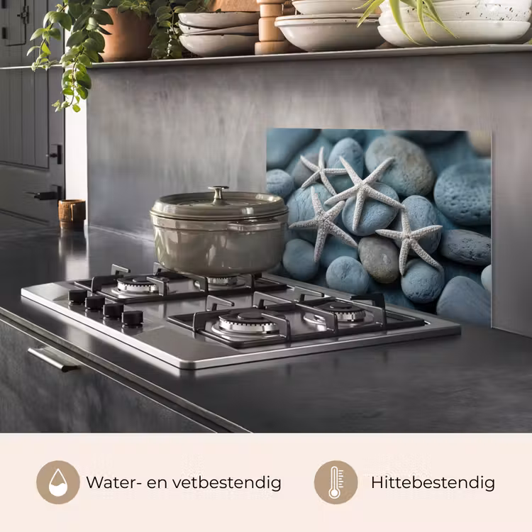 Zeesterren - Stenen - Wit keuken achterwand spatscherm klein -usp_NL