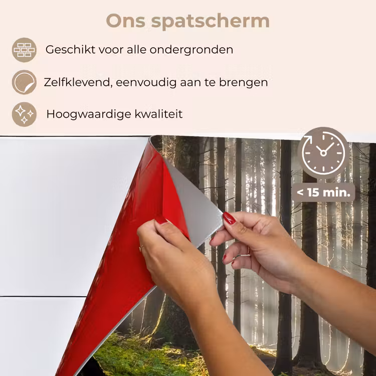 Zon - Takken - Bomen - Bos - Natuur keuken achterwand spatscherm klein -spatscherm_NL