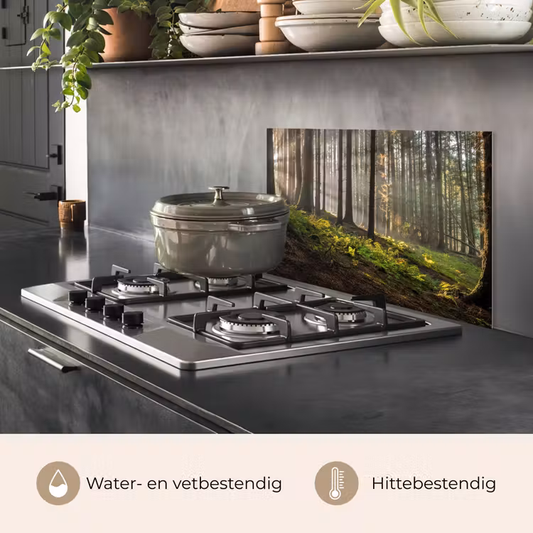 Zon - Takken - Bomen - Bos - Natuur keuken achterwand spatscherm klein -usp_NL