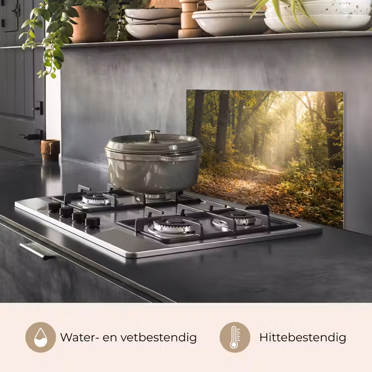 Zonlicht - Bospad - Bomen keuken achterwand spatscherm klein -usp_NL