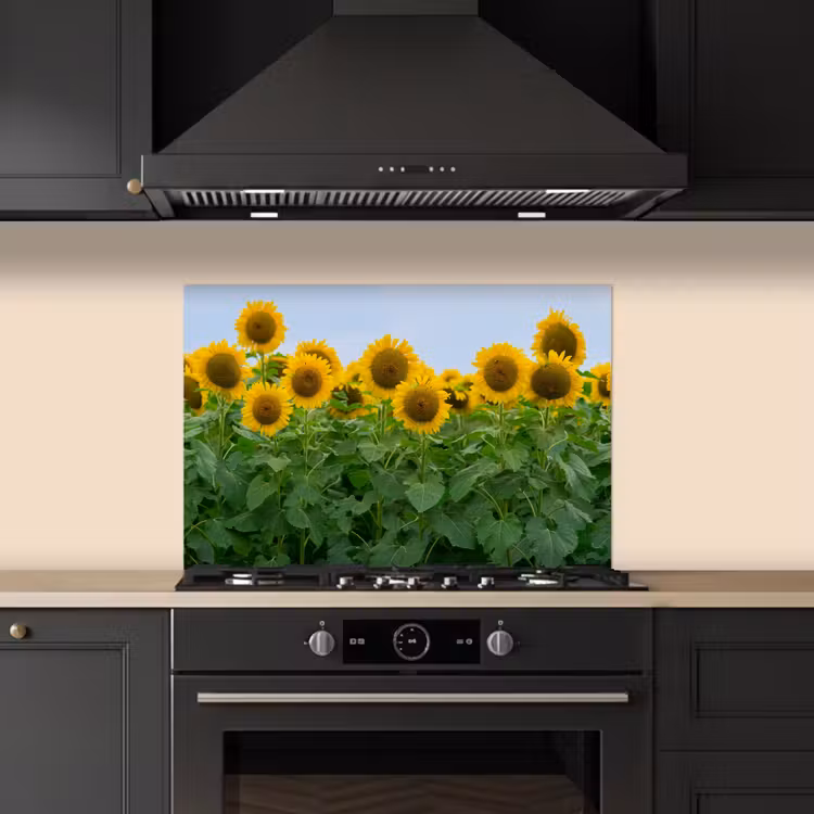Zonnebloemen - Geel - Natuur keuken achterwand spatscherm klein -sfeer1