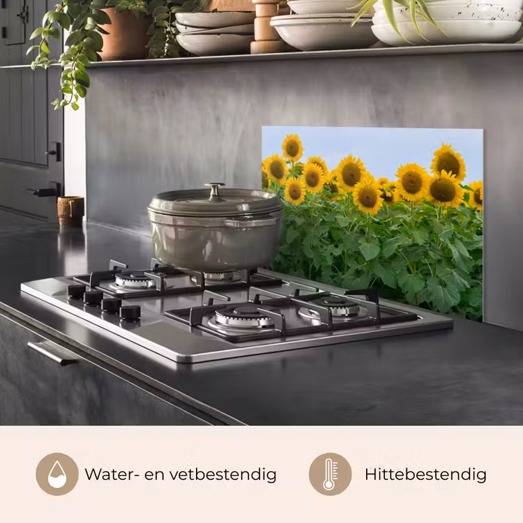 Zonnebloemen - Geel - Natuur keuken achterwand spatscherm klein -usp_NL