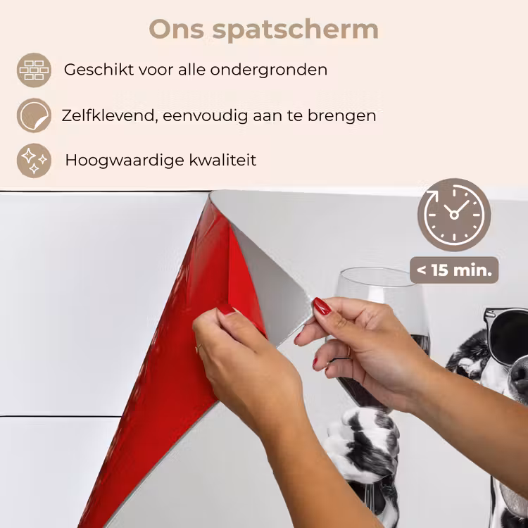 Zonnebril - Dalmatiër - Wijnglas - Tong keuken achterwand spatscherm klein -spatscherm_NL
