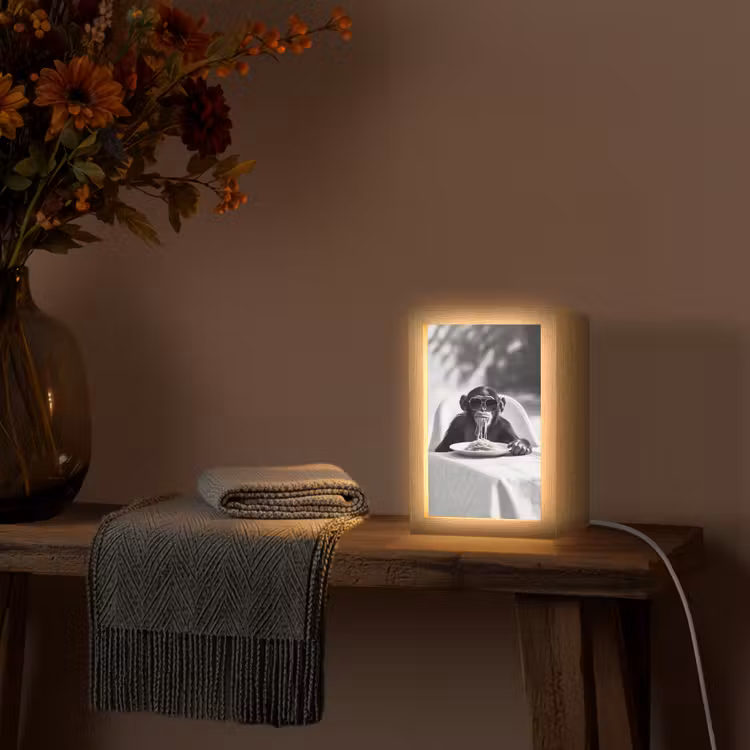 Aap - Spaghetti - Zonnebril - Zwart wit - Cool - Dier Light Box met kabel (Tafellamp) klein -sfeer4