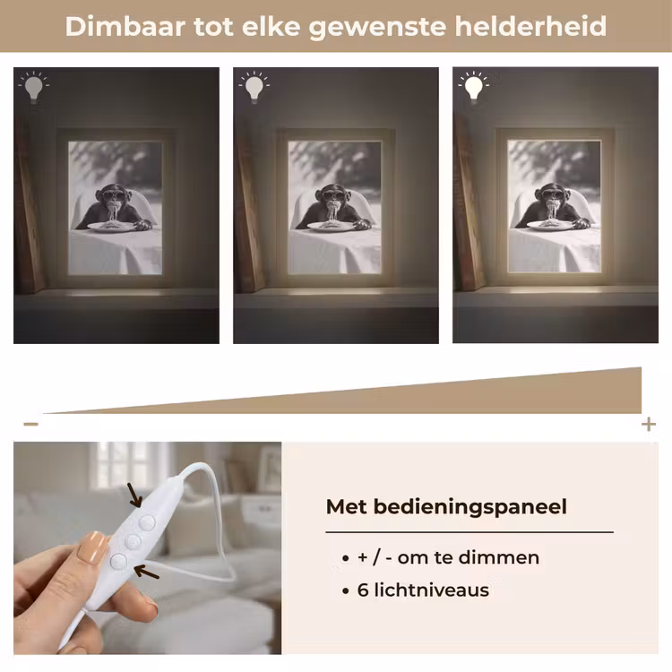 Aap - Spaghetti - Zonnebril - Zwart wit - Cool - Dier Light Box met kabel (Tafellamp) klein -USP_dimbaarNL