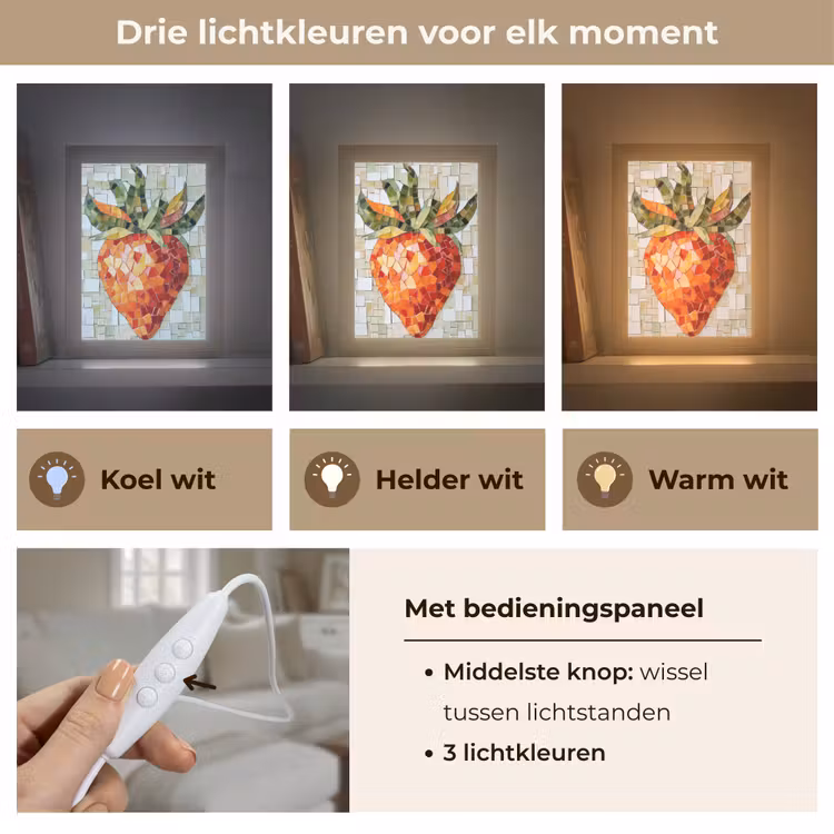 Aardbei - Rood - Mozaïek - Fruit Light Box met kabel (Tafellamp) klein -USP_lichtkleurNL