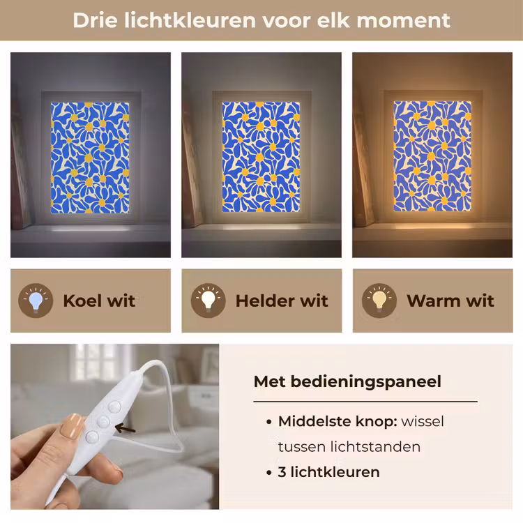 Abstract - Bloem - Blauw Light Box met kabel (Tafellamp) klein 925 -USP_lichtkleurNL
