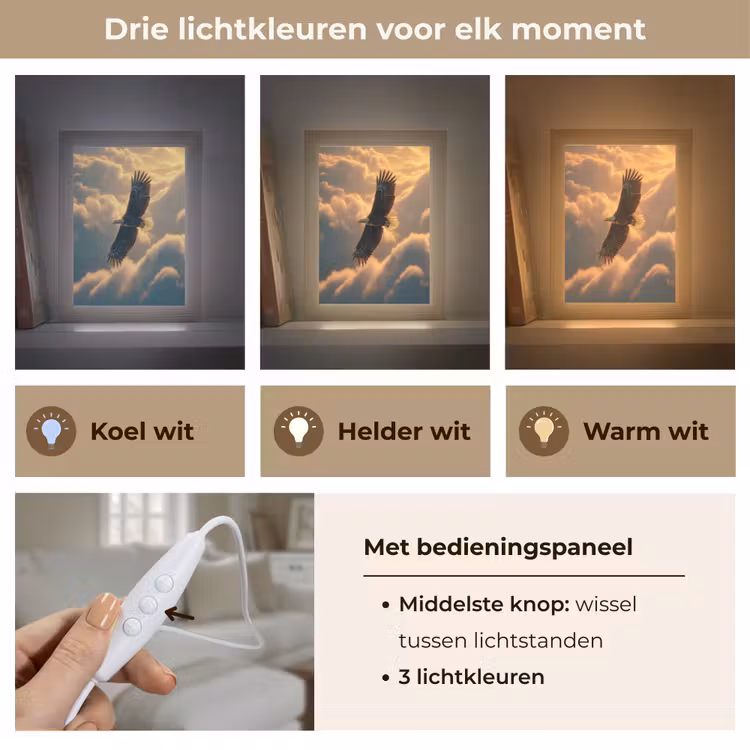 Adelaar - Wolken - Zon Light Box met kabel (Tafellamp) klein -USP_lichtkleurNL