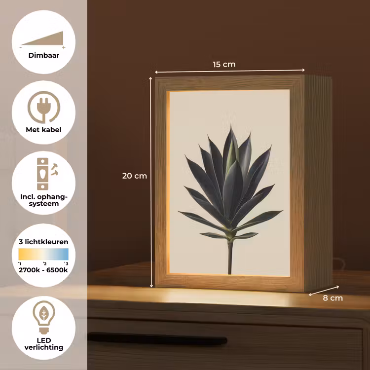 Agaveplant - Symmetrisch - Groen Light Box met kabel (Tafellamp) klein -USP_NL