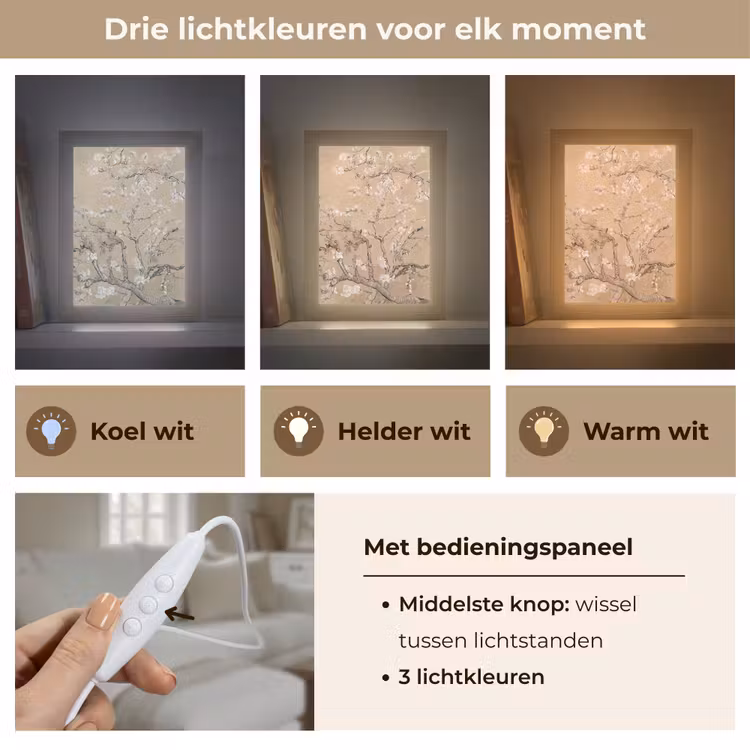 Amandelbloesem - Kunst - Van Gogh - Beige Light Box met kabel (Tafellamp) klein -USP_lichtkleurNL