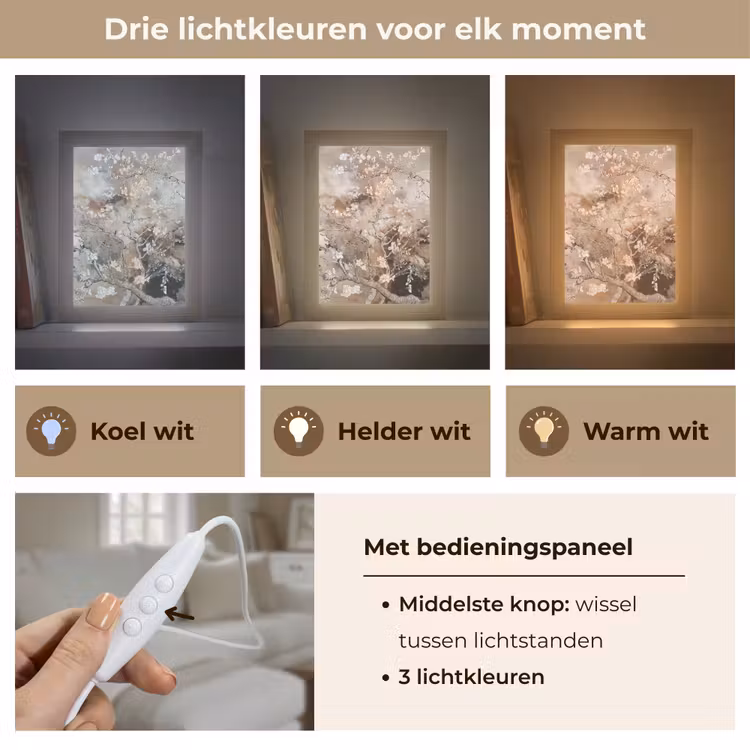 Amandelbloesem - Kunst - Van Gogh - Beige - Abstract Light Box met kabel (Tafellamp) klein -USP_lichtkleurNL