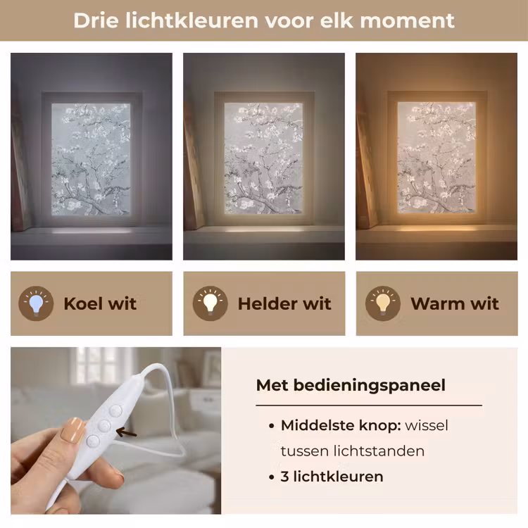 Amandelbloesem - Kunst - Van Gogh - Grijs Light Box met kabel (Tafellamp) klein -USP_lichtkleurNL