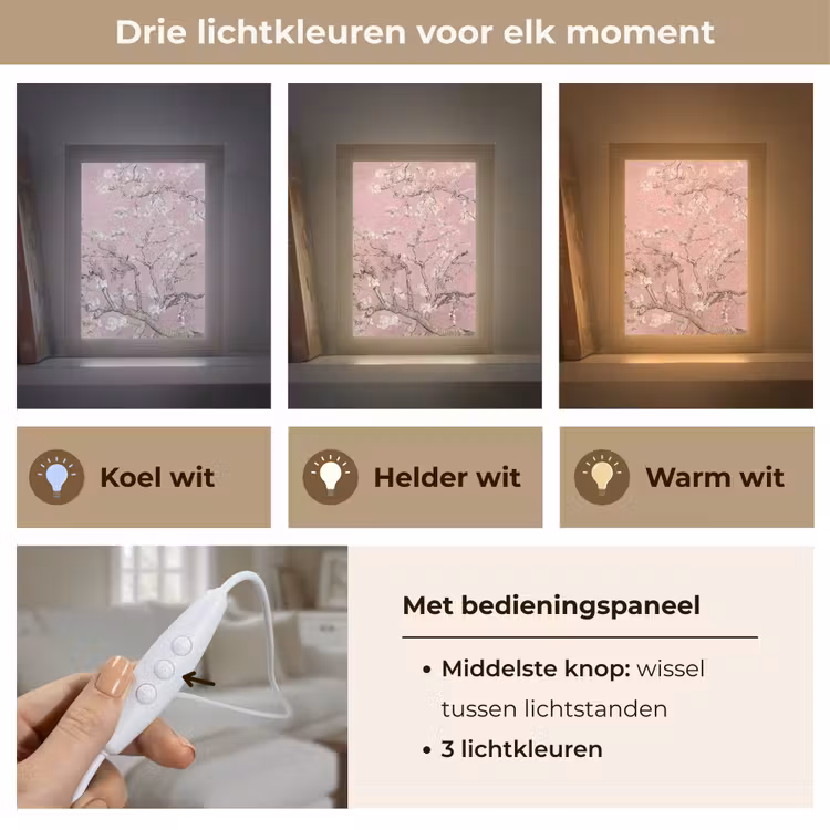 Amandelbloesem - Kunst - Van Gogh - Roze Light Box met kabel (Tafellamp) klein -USP_lichtkleurNL