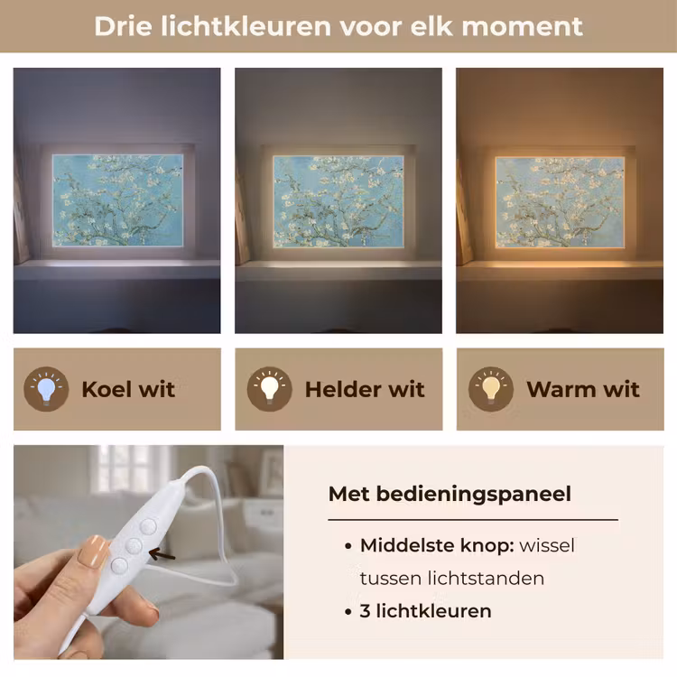 Amandelbloesem - Van Gogh - Kunst - Bloemen Light Box met kabel (Tafellamp) klein -USP_lichtkleurNL