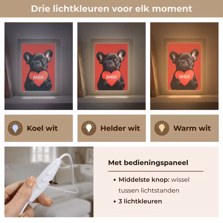 Amor - Hond - Hartje - Rood Light Box met kabel (Tafellamp) klein -USP_lichtkleurNL
