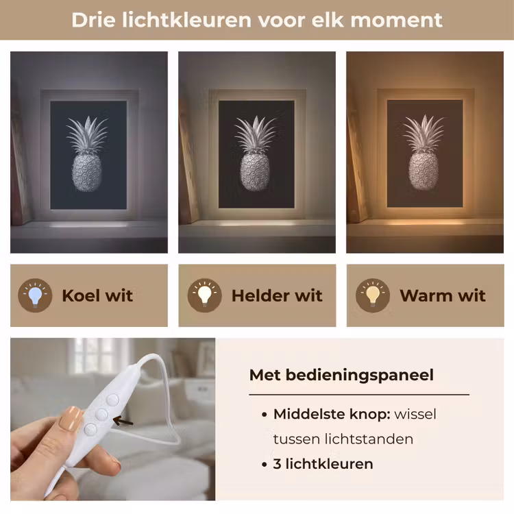 Ananas - Gedetailleerd - Bladeren Light Box met kabel (Tafellamp) klein -USP_lichtkleurNL
