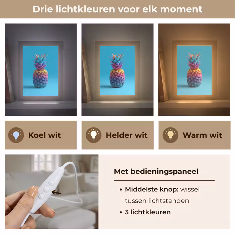 Ananas - Regenboog - Blauw - Popart Light Box met kabel (Tafellamp) klein -USP_lichtkleurNL