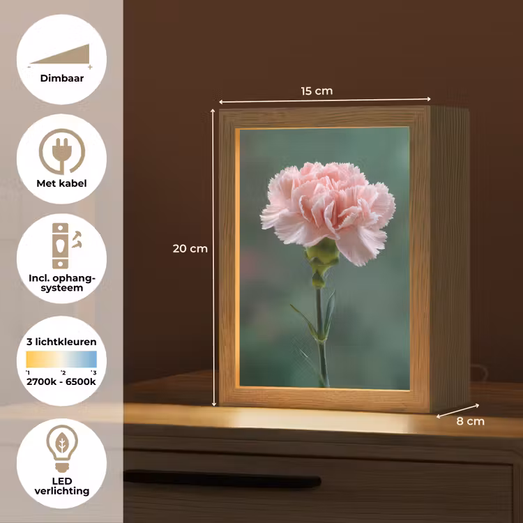 Anjer - Roze - Bloemblaadjes Light Box met kabel (Tafellamp) klein -USP_NL