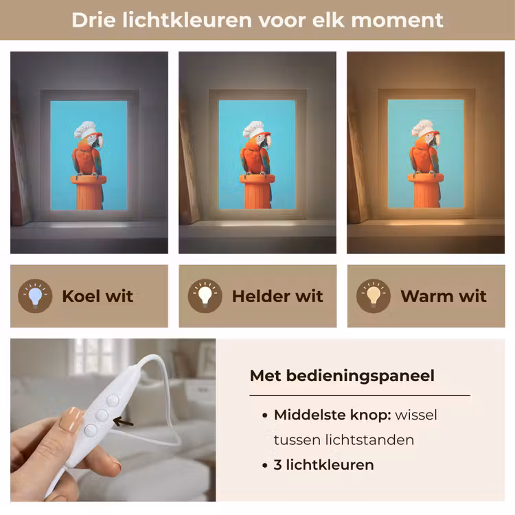 Ara - Koksmuts - Sokkel - Grappig Light Box met kabel (Tafellamp) klein -USP_lichtkleurNL