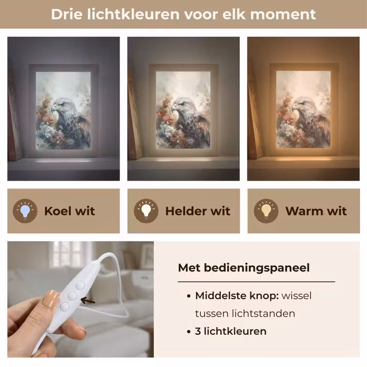 Arend - Adelaar - Vogel - Bloemen - Natuur Light Box met kabel (Tafellamp) klein -USP_lichtkleurNL