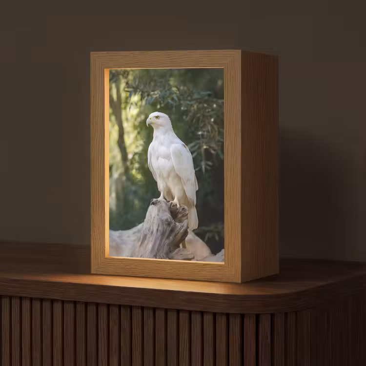 Arend - Hout - Wit - Planten Light Box met kabel (Tafellamp) klein -z3d_website