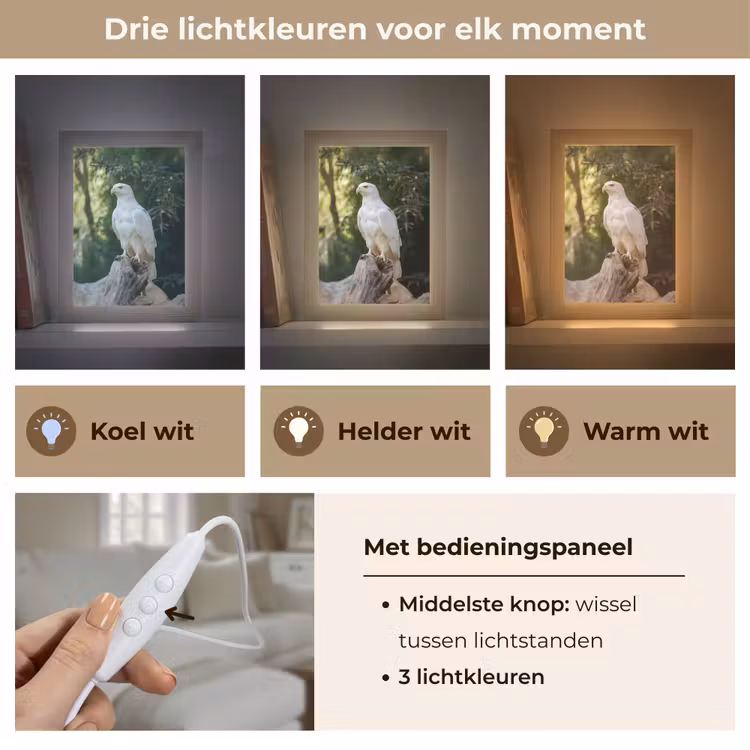 Arend - Hout - Wit - Planten Light Box met kabel (Tafellamp) klein -USP_lichtkleurNL