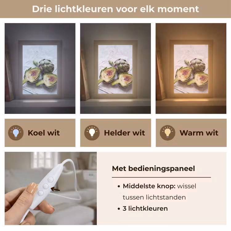 Tafellamp - Artisjok - Doorgesneden - Eten - Artisjok - Doorgesneden - Eten Light Box met kabel (Tafellamp) klein