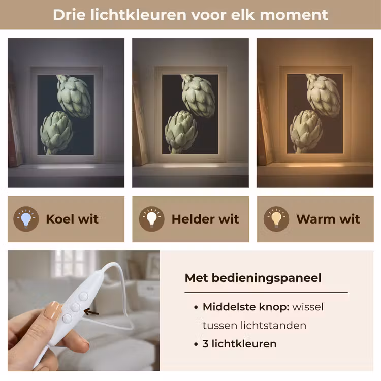 Tafellamp - Artisjok - Groen - Eten - Artisjok - Groen - Eten Light Box met kabel (Tafellamp) klein
