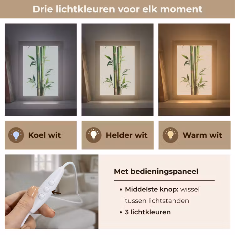 Bamboestengels - Sierlijk - Groen Light Box met kabel (Tafellamp) klein -USP_lichtkleurNL